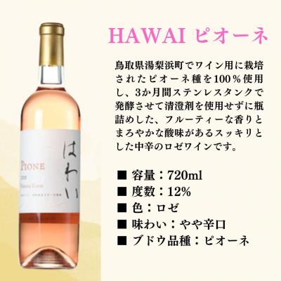 ふるさと納税 倉吉市 倉吉ワイン白・ロゼ　2本セット |  | 02