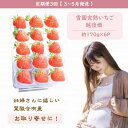 【ふるさと納税】定期便 3回【3～5月発送】雪国完熟いちご越後姫 170g×6全3回 定期配送 越後姫 いちご 定期便 完熟 苺 新潟　定期便　お届け：3月～5月の月1回お届けいたします。