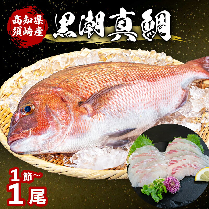 【ふるさと納税】 高知県須崎市産 養殖真鯛 1尾から1節 選べる スキンレス フィーレ ロイン 真鯛 マダイ 鯛 刺身 さしみ 鯛お刺身用 柵 丸ごと 半身 皮なし 下処理済み 鯛しゃぶ 鯛めし 鯛茶漬け カルパッチョ 塩焼き 煮付け 海鮮 魚介類 片身 ギフト 三枚おろし 産地直送