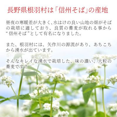 ふるさと納税 根羽村 長野県根羽村産 スーパーフード そばの実200g×2袋 |  | 01