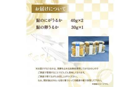 四万十鮎のうるかセット （110g） 塩辛 にがうるか うるか おつまみ 珍味 発酵食品 鮎 あゆ アユ 魚 魚介 川魚 瓶詰 セット ソース ／Ess-03 