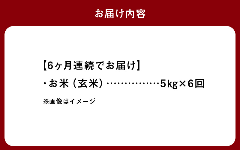S061-T08_【6ヶ月定期便】特別栽培米 天草五ッ星米 玄米 5kg