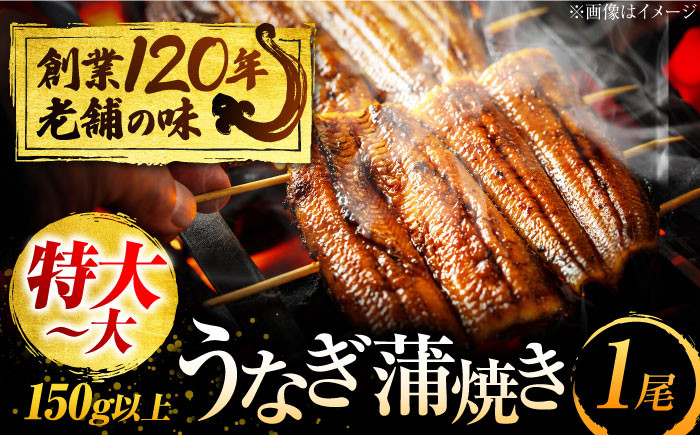 
            【お中元対象】うなぎ 蒲焼き 1尾 鰻 ウナギ 丑の日 多治見市/澤千 [TDD003]
          