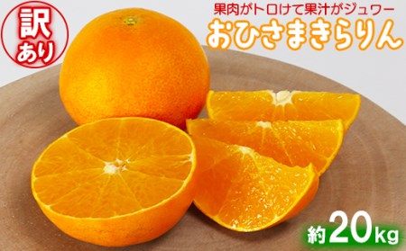 【訳あり・優品】今村農園のおひさまきらりん 約20kg＜107-022_7＞