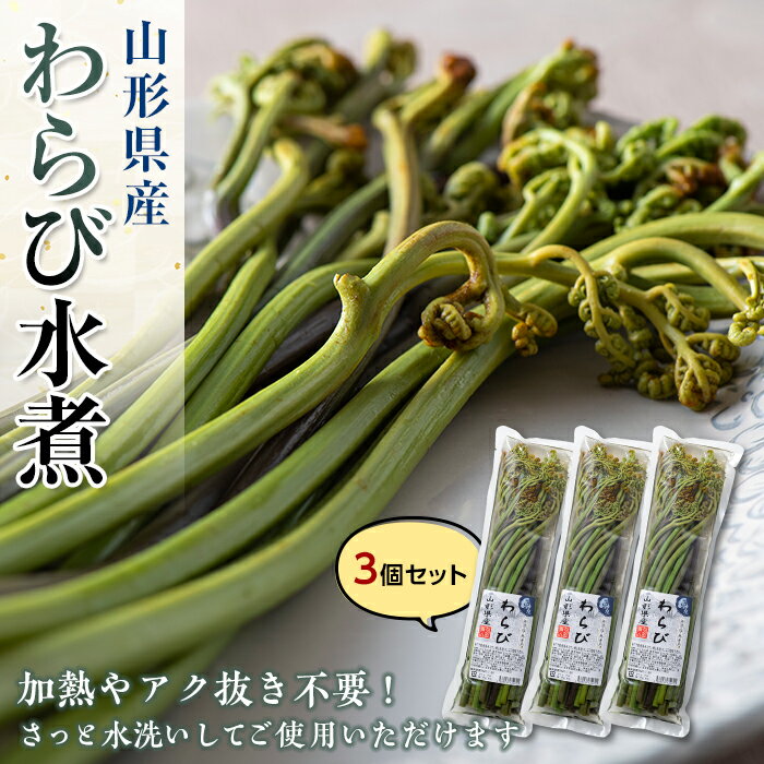 【ふるさと納税】山形県産わらび水煮 3個セット 山菜 無漂白 無着色 わらび 水煮 みそ汁 煮物 おひたし 炊き込みご飯 東北 F3S-1325