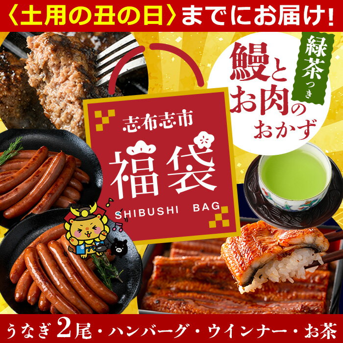 【ふるさと納税】志布志市福袋！鰻とお肉のおかず(名水慈鰻2尾＆里山牛ハンバーグ4個＆黒豚MEGUMIウインナー2P＆お茶セット 総計約1kg) うなぎ 鰻 鹿児島 ハンバーグ 冷凍 ウインナー 黒豚【志布志市観光特産品協会】 b8-036