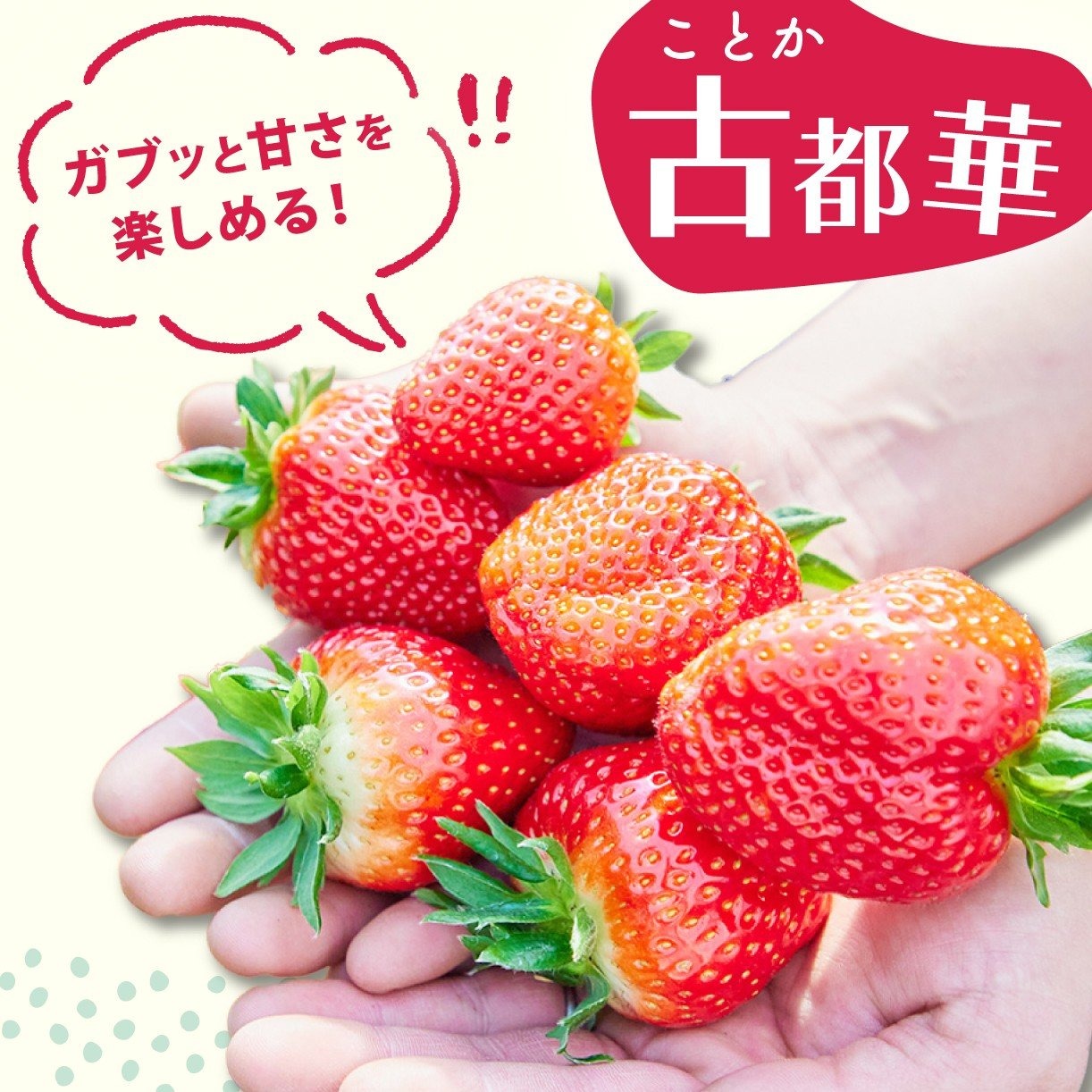 いちご 古都華 270g×2パック 数量限定 苺 イチゴ ブランド 大粒 旬 産地直送 フルーツ 果物 冷蔵 フレッシュ 小分け 国産 贈答用 プレゼント ギフト 奈良産 高級 厳選 限定 新鮮 産地