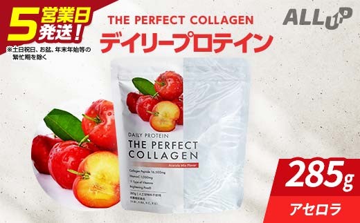
            デイリープロテイン THE PERFECT COLLAGEN (アセロラ味)【 プロテイン 栃木県 足利市 】 F7Z-1591
          
