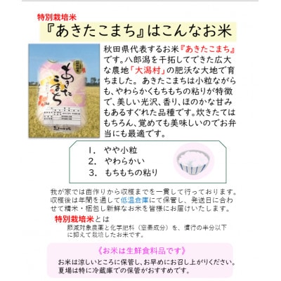 【発送月固定定期便】偶数月発送　特別栽培米あきたこまち5kg全4回【配送不可地域：離島・沖縄県】