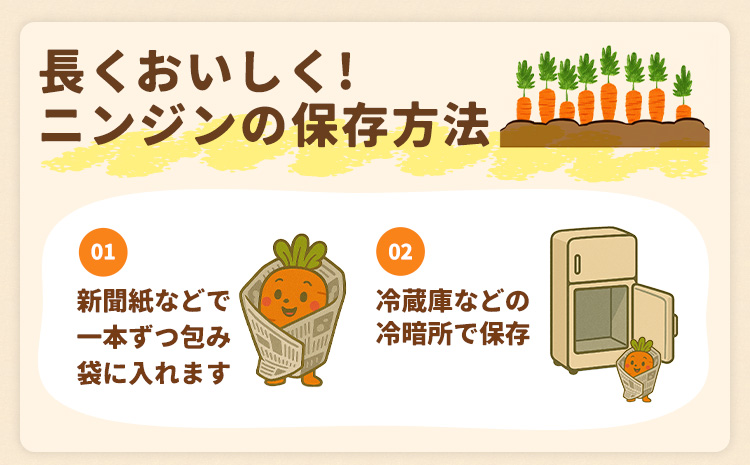 人参 訳あり にんじん ニンジン キャロット 5kg《12月中旬-3月上旬頃出荷》熊本県 大津町 人参 送料無料 にんじん キャロット 熊本県産 にんじん