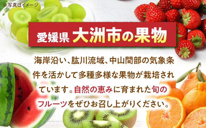 【先行予約】【9月中旬から順次発送】自然な甘みと豊かな香り！愛媛県産高級和栗 大粒生栗 2kg　愛媛県大洲市/あじさい農園 [AGAE008]くり クリ モンブラン マロン 秋の味覚 和菓子 栗ご飯 