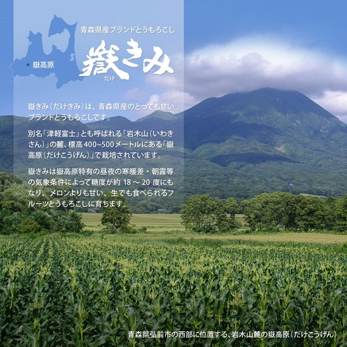 8月下旬発送 朝採り嶽きみ20本【弘前市嶽高原産・とうもろこし】