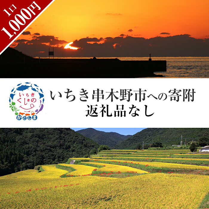 【ふるさと納税】≪返礼品なし・1,000円≫鹿児島県いちき串木野市への寄附【いちき串木野市】