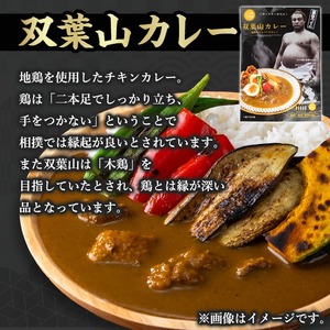 ＜訳あり・簡易包装＞双葉山カレー(計1.8kg・180g×10P) 鶏肉 鳥肉 とりにく とり肉 お肉 カレー チキンカレー スパイスカレー レトルト 簡単調理 常温 保存【115601500】【SF