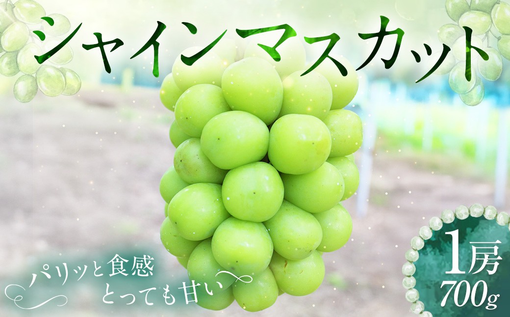 
                  シャインマスカット 1房 約700g 【2026年9月下旬～10月上旬発送予定】 ／ マスカット 葡萄 ブドウ 種無し 種なし
                