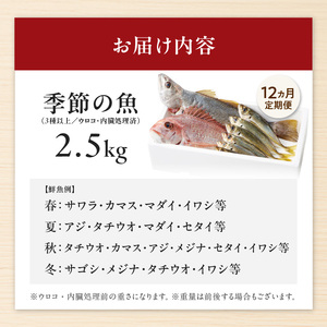【12ヶ月定期便】大和海商の朝どれ鮮魚直送定期便　2.5kg　N072-ZG025