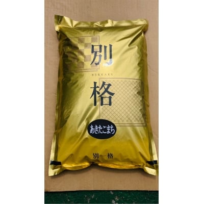 
            ＜新米予約＞令和7年産 あきたこまち 無洗米 30kg(5kg×6袋)【1666265】
          