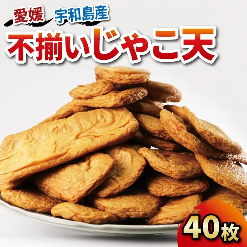 練物 訳あり 不揃い じゃこ天 40枚 中村かまぼこ店 じゃこ天 練り物 練物練物練物練物  じゃこ天 おつまみ C012-013005