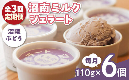 【全3回定期便】沼南ミルクジェラート 沼隈ぶどう ６個 [BAEC042]ジェラート