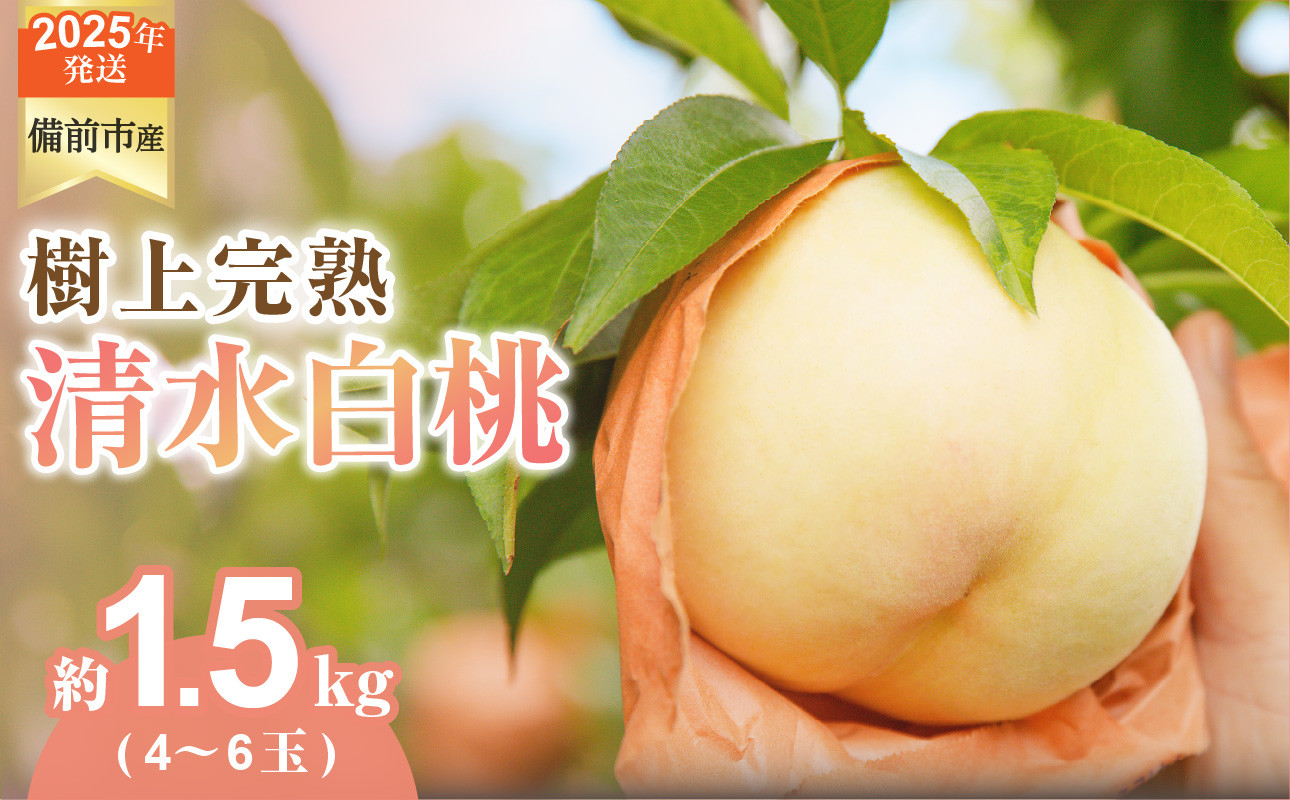 
            【2025年発送】びぜん白桃　清水白桃　約1.5kg 【 岡山県備前市産 清水白桃 約1.5kg （４～６玉目安） 】
          