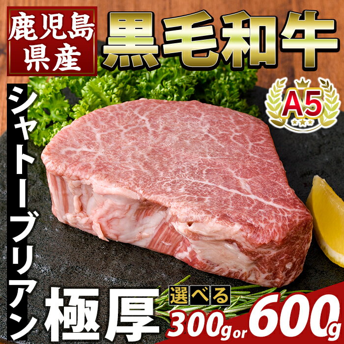 【ふるさと納税】＜選べる容量＞数量限定！希少部位 鹿児島県産A5黒毛和牛『極厚』シャトーブリアン(計300g・計600g) 牛肉 ステーキ ステーキ肉 国産 鹿児島県産 黒毛和牛 肉 精肉 牛 【ふるさと産直バザール】