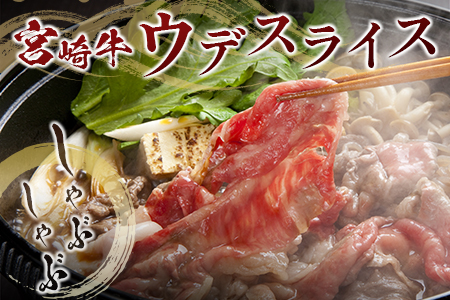 鰻楽 国産 うなぎ 1尾 & 宮崎牛 ロースステーキ 1枚 250g ＆ 宮崎牛 ウデ スライス 500g 土用 丑の日 BBQ ごちそう 牛肉【C128-2510-90】