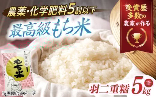 【令和6年産】滋賀県産【特別栽培米】羽二重糯（はぶたえもち）5kg 滋賀県長浜市/株式会社ＴＰＦ [AQCQ008] 米 お米 もち米 餅米 5kg 羽二重餅 餅米 もち お餅