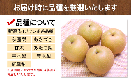 梨 荒尾梨 約4kg フルーツ 果物