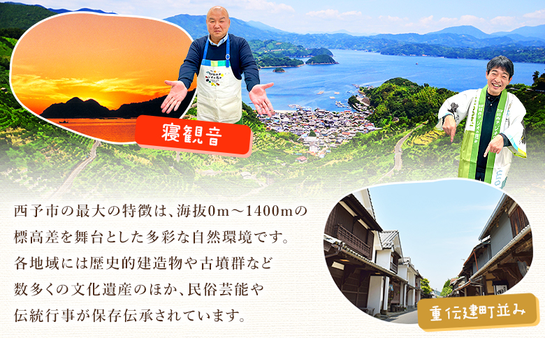 ＜一歩会 ジュエリーボックス ジュース飲み比べセット 720ml×2本入り 3回定期便＞『お申込み月の翌月より配送を開始』果汁100%ストレートジュース 愛媛 みかん ミカン 柑橘 果物 フルーツ 特産品 渡江から一歩を踏み出す会 飲んで応援 愛媛県 西予市【常温】