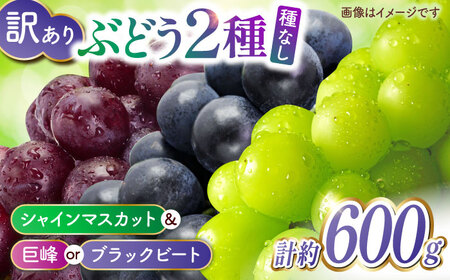 先行予約 訳あり種なしぶどう2種食べ比べ計約600g(シャインマスカット&巨峰orブラックビート)ぶどうシャインマスカットZFO004