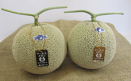 【先行予約】アールスメロン 2玉入り 合計約3.4kg【2026年6月上旬〜6月下旬頃発送予定】