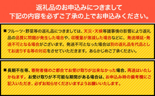 【1-1-81】【令和7年発送先行受付】にんにく（福地ホワイト六片種）1.5kg