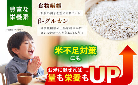 【全6回定期便】麦詰合500g×3（押ムギ・胚芽押麦・丸ムギ）【葦農】 HAJ032