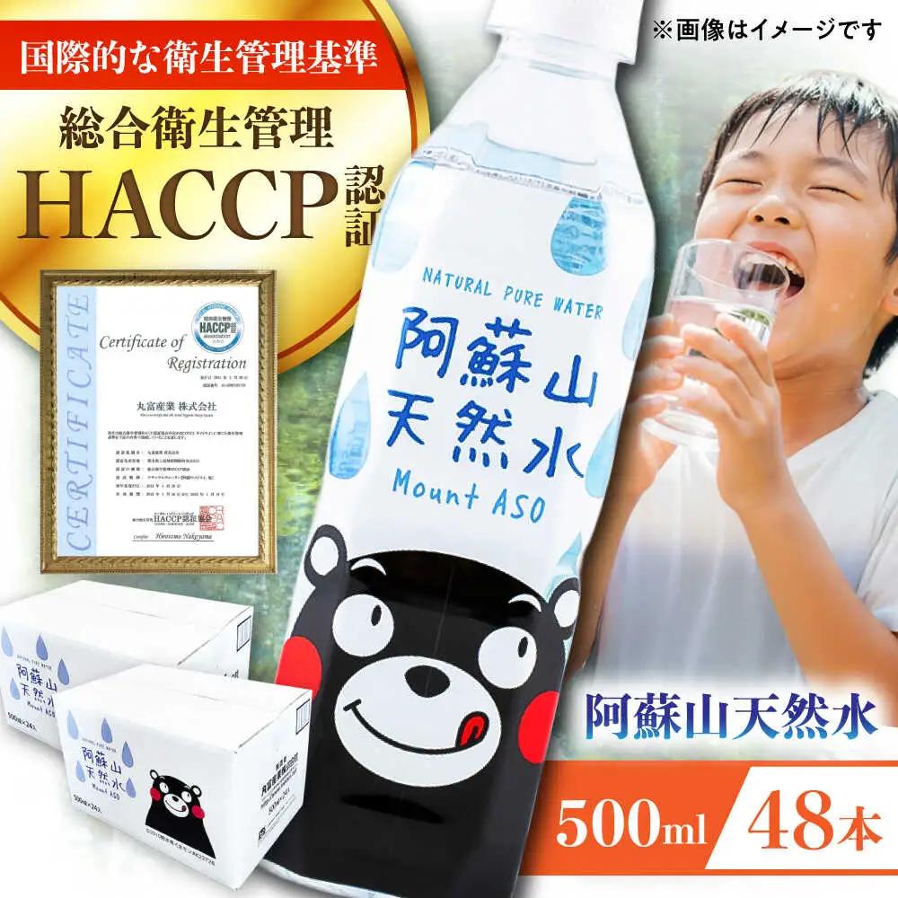 阿蘇山天然水 500ml 計48本(24本×2ケース)  BHDG003 ペットボトル ペットボトル