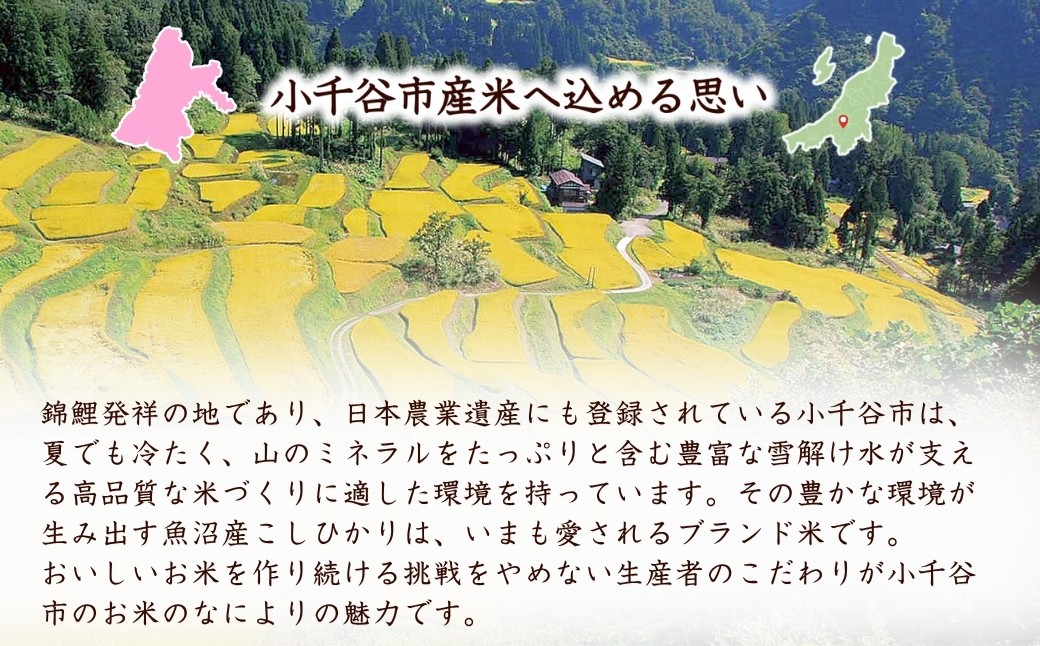 安心・安全な魚沼産のお米にこだわり、花火の町片貝からみなさんにお届けします