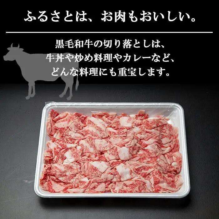 新潟牛 南魚沼産 にいがた 黒毛和牛 切り落とし 500ｇ｜チルド