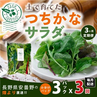 ふるさと納税 長野県 【毎月定期便】【農家直送便】サラダ野菜のおまかせ詰め合わせ3パック(1パックに10〜15品種)全3回