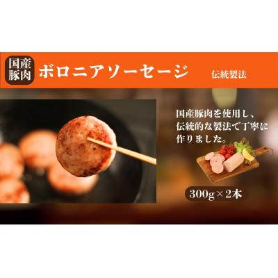 ふるさと納税 南相馬市 国産豚肉 ソーセージ3種セット  (ボロニア / チョリソー / あらびきウィンナー) |  | 01