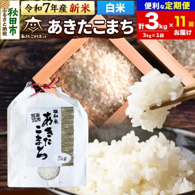 ふるさと納税 秋田市 新米受付《定期便11ヶ月》あきたこまち 清流米 3kg【白米】 |15_akn-cc0311hs