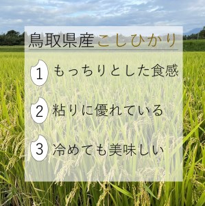 【令和5年産】　大山しらゆき米10kg（精白、コシヒカリ、5kg×2）