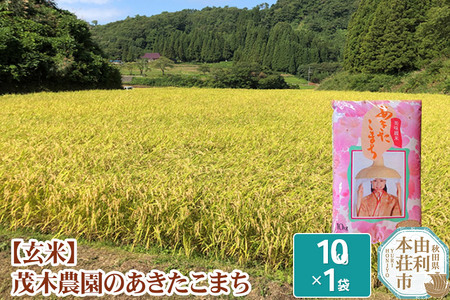 【玄米】米 10kg あきたこまち 令和5年産 秋田県産 茂木農園のあきたこまち 玄米 10kg