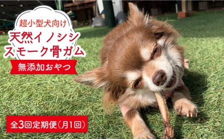 3回定期便　超小型犬向け☆天然いのししのスモーク骨ガム100g わんこin食堂/吉野ヶ里町[FCG062]