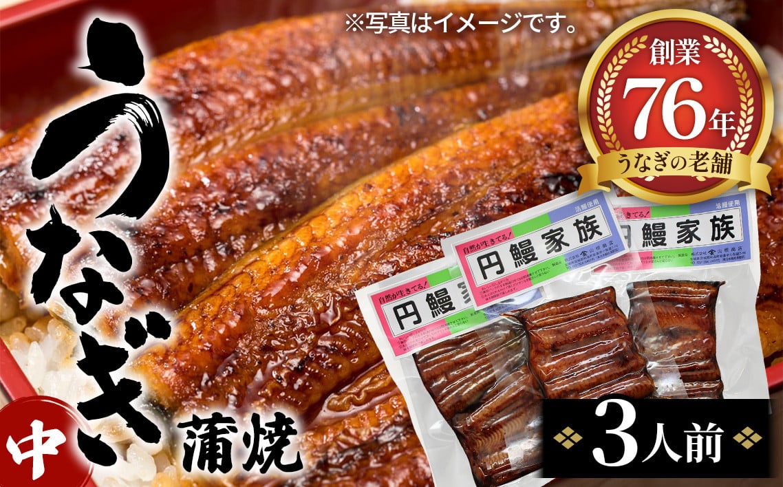 
            うなぎ蒲焼（中）3人前 ／ うなぎ蒲焼 国産 冷凍 3人前 タレ 香ばしい 自宅ごはん お取り寄せ 和食 骨なし 本格 焼き方 口コミ ギフト 贈答 No.098
          