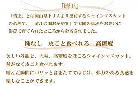 ぶどう 2024年 先行予約 ご家庭用 シャイン マスカット 晴王 約500g×2房 ブドウ 葡萄  岡山県産 国産 フルーツ 果物[No.5220-1472]