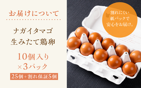産みたてたまご 30個 ( 割れ保証込み 25個 ＋ 5個 ) 卵 たまご ナガイタマゴ 鶏卵 卵かけごはん 海苔 エサ 赤玉 パック 赤鶏 卵かけご飯 玉子焼き 玉子 国産 新鮮 小分け パック ギ
