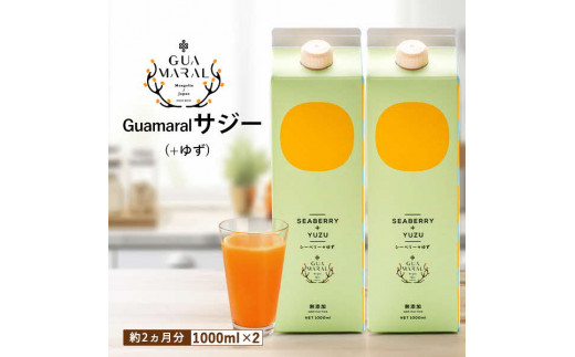  サジージュース+ゆず 1000ml×2本セット | サジー シーベリー 沙棘 グアマラル 健康ドリンク 健康 美容 栄養 果汁 鉄分補給 栄養補給 健康食品 ギフト 贈答 プレゼント ご褒美 お祝 記念品 _DX05