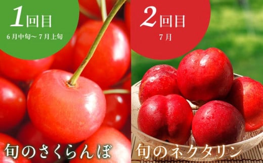 ［年10回定期便］ 信州の人気フルーツ定期便 年10回コース ［小布施屋］ 定期便 頒布会 フルーツ 果物 信州 令和7年産 【2025年6月中旬～2026年2月発送】