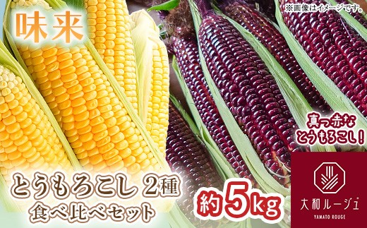 
                  450 とうもろこし 食べ比べ 大和ルージュ 味来 合計約5kg 先行予約 2026年7月上旬～下旬頃発送予定 赤 レッド 野菜 クール便 冷蔵 食べきり
                