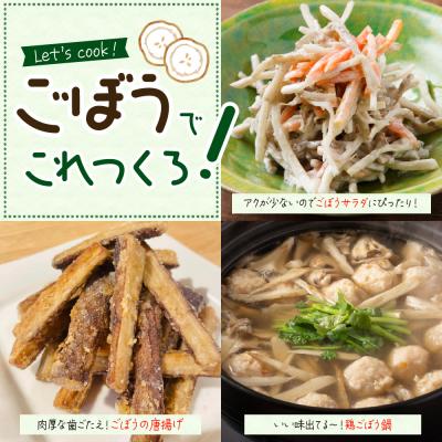 ふるさと納税 芽室町 【先行受付2026年5月中旬より順次発送】北海道芽室町 春掘り美肌ごぼう【ユキシズク】L5kg |  | 01