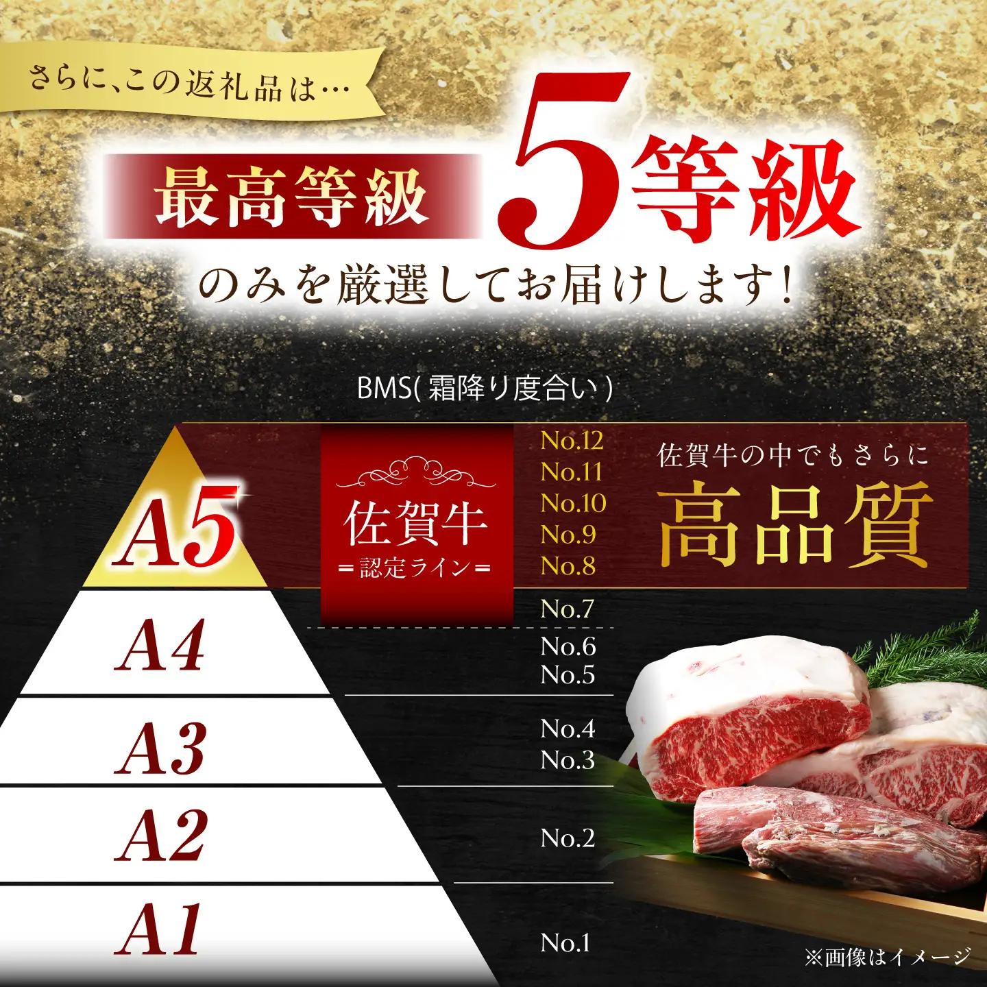 【美食家も虜になる上質な部位】＜全6回定期便＞佐賀牛 ヒレ サイコロステーキ 200g【がばいフーズ】A5ランク 佐賀牛[HCS126]